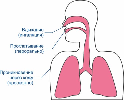 Пути проникновения химических веществ в организм человека